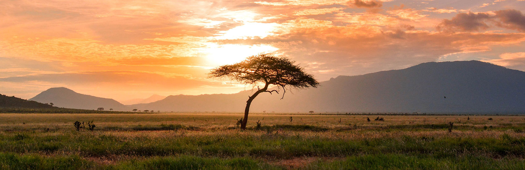 Save on Small Group Explorations Tours with Collette 3