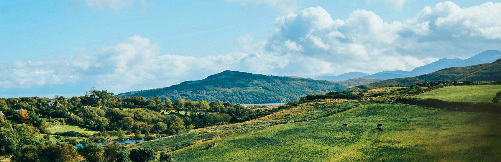 Early Booking Savings with CIE Tours 5