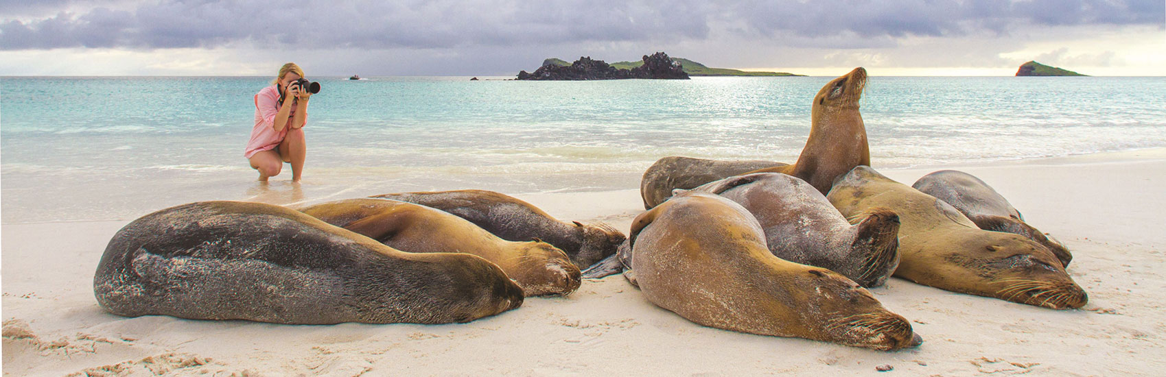 The Galápagos, Reimagined 5