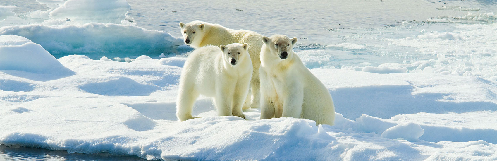 Explore Differently with<br>National Geographic-Lindblad Expeditions 3