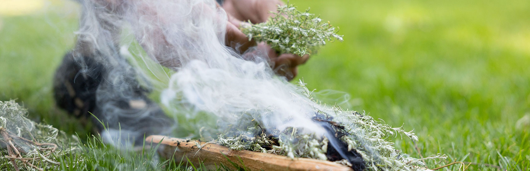Ancient Wisdom, Modern Cuisine: Australia's Native Ingredients 3