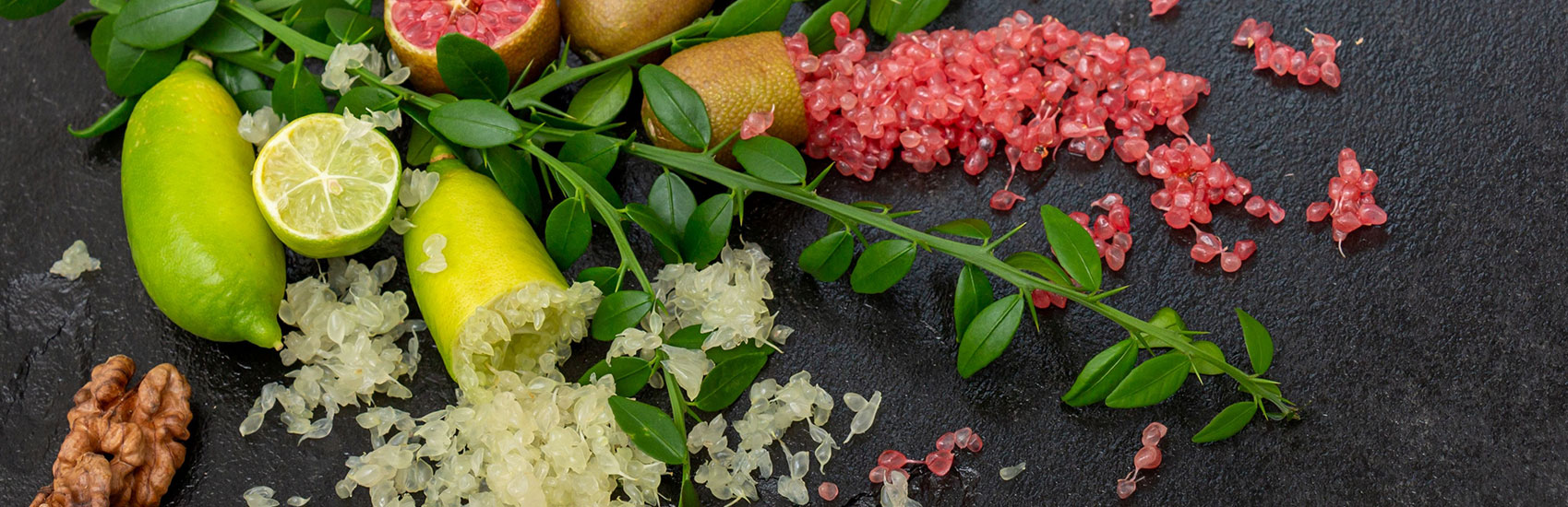 Ancient Wisdom, Modern Cuisine: Australia's Native Ingredients 5