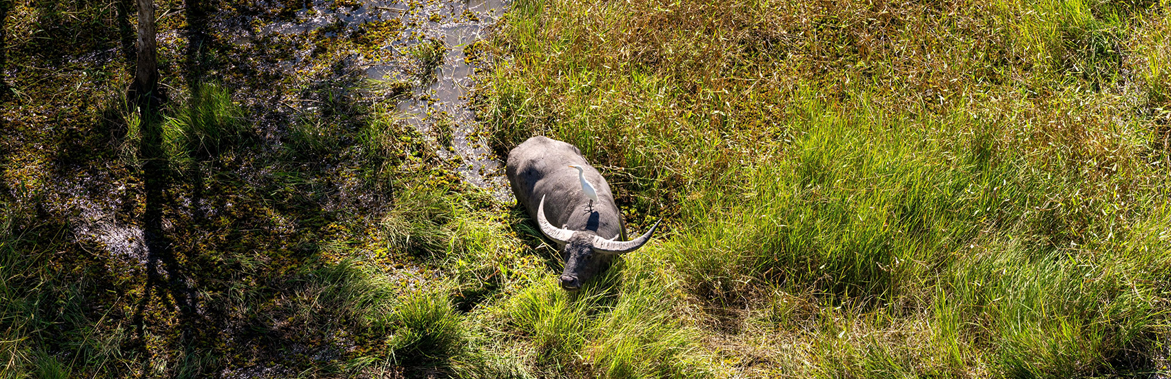 10 Day Self-Drive Crocodile & Jabiru Wildlife & Nature Journey 1