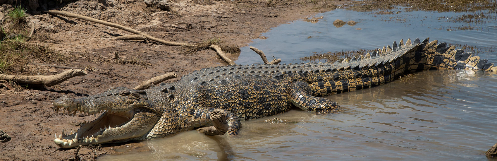 10 Day Self-Drive Crocodile & Jabiru Wildlife & Nature Journey 3