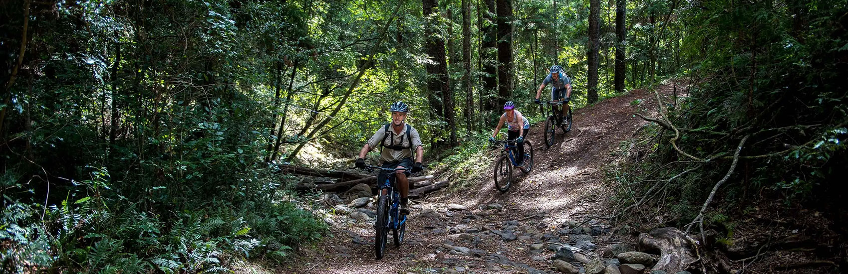 Spicers Peak Lodge 2