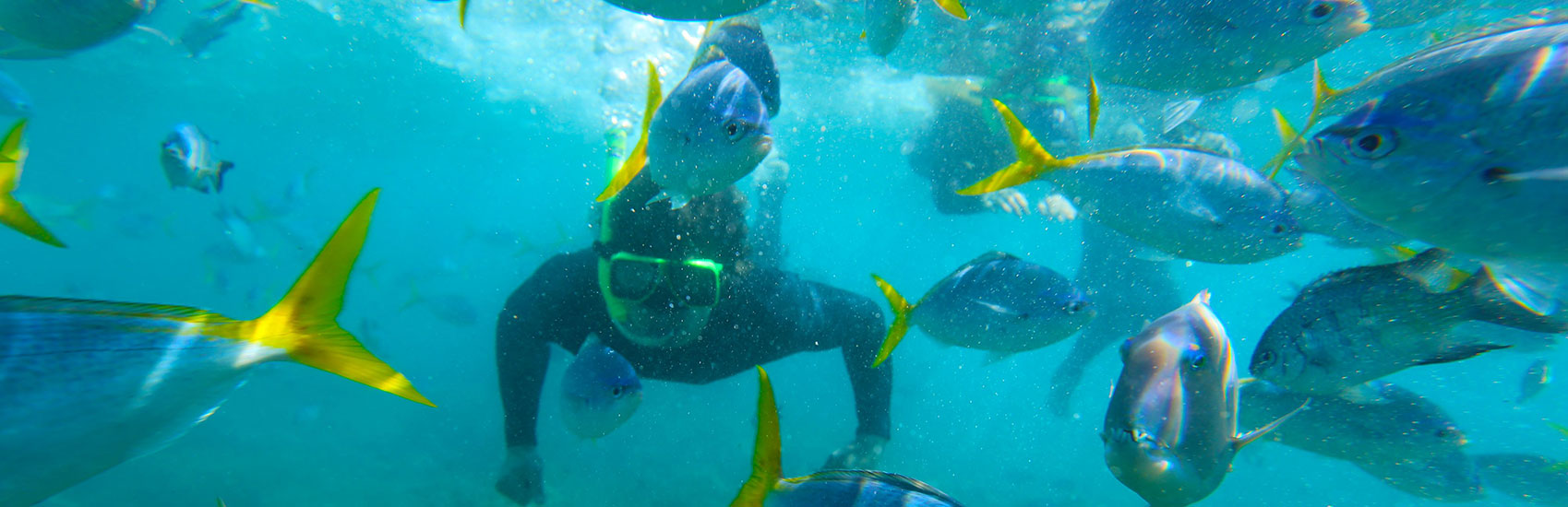 Discover Australia Beyond the Postcard with G Adventures 2