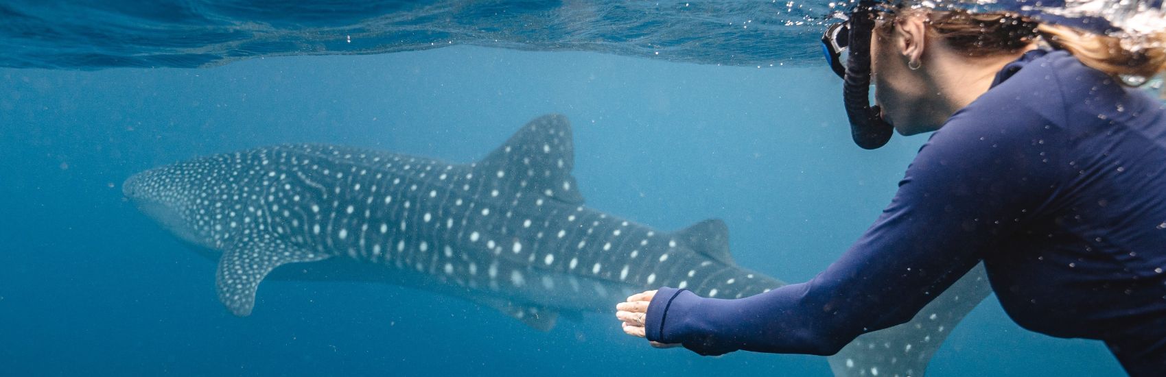 Protecting Australia's Wild Side 3