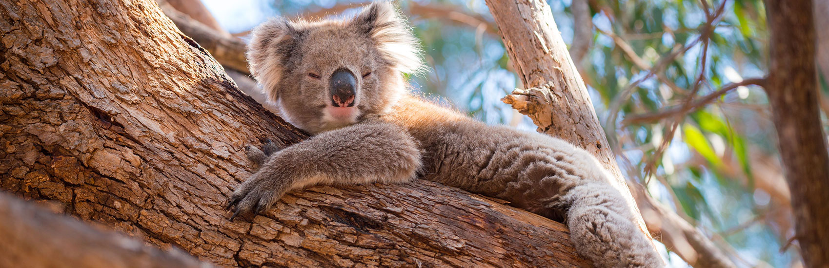 8  Day Sydney, Rock & Reef Escape 2