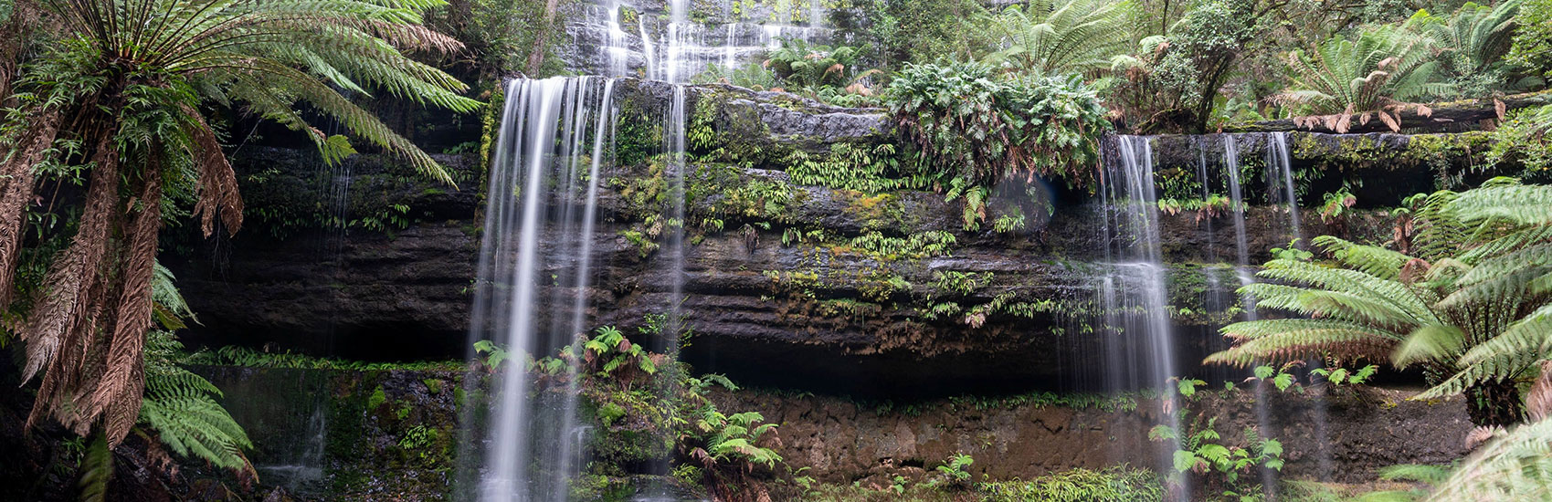 10 Day Nature's Southern Coast Discovery 2