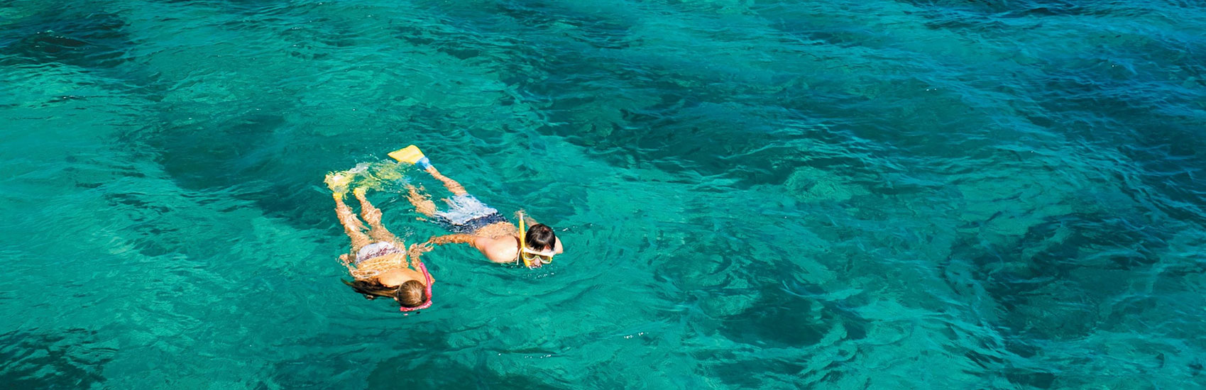 9 Day Southeast Queensland: Wildlife & Natural Wonders 4