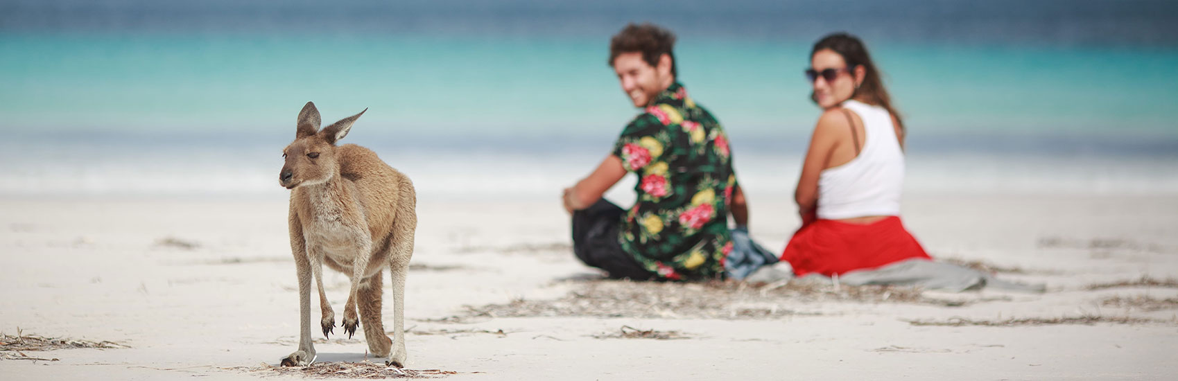 South Australia: 7 Day Island & City Wildlife Escape 3