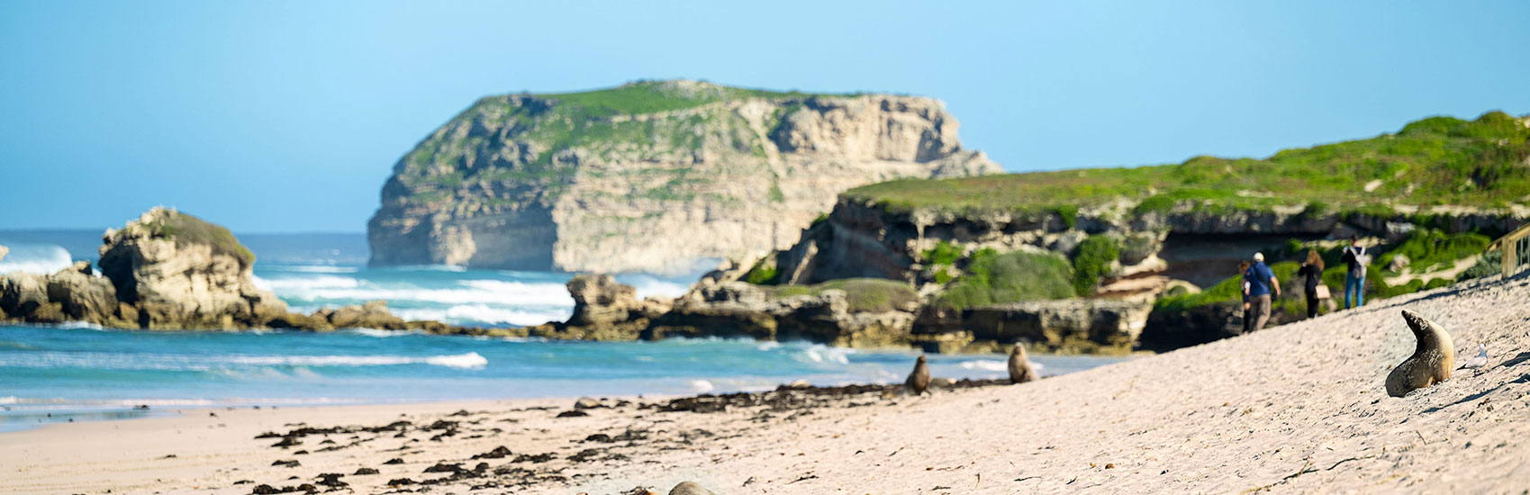 South Australia: 7 Day Island & City Wildlife Escape 4