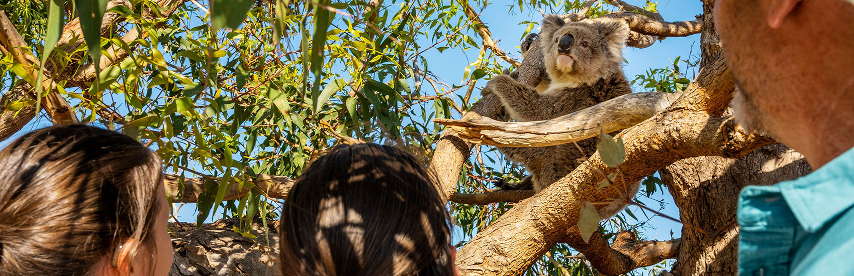 8 Day South Australia Wildlife & Nature Journey 3