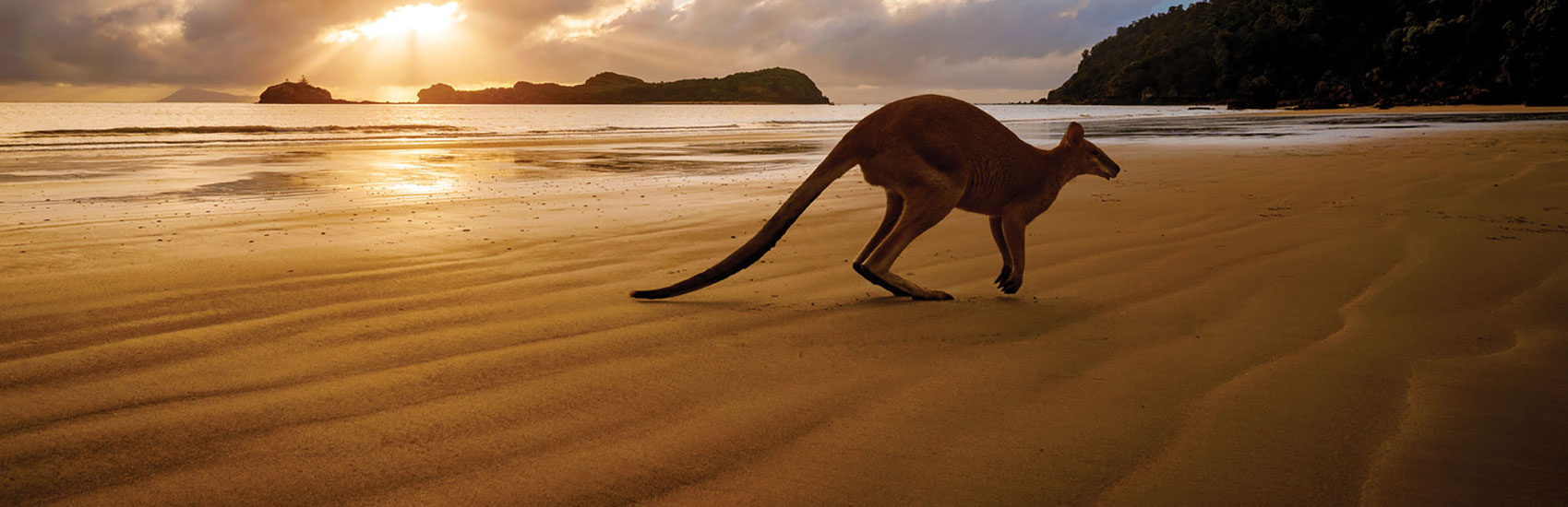 Go Guided in Australia with Globus