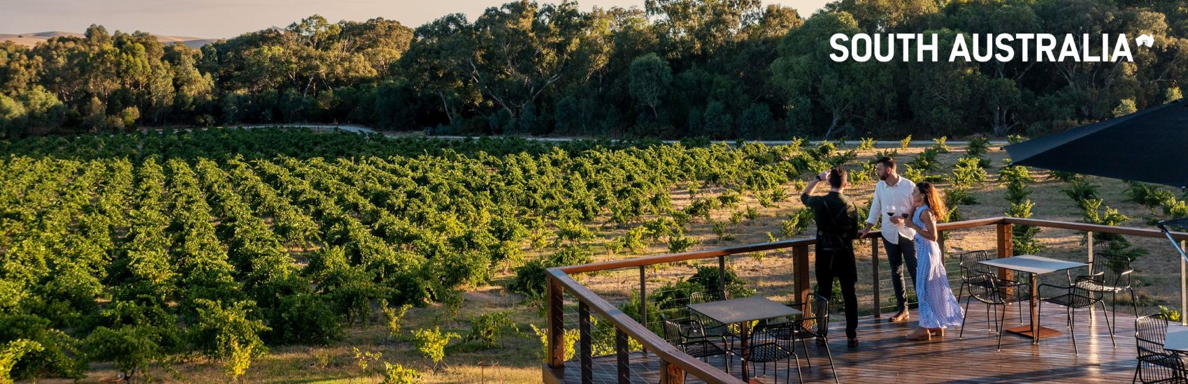 South Australia's Top Wine Regions