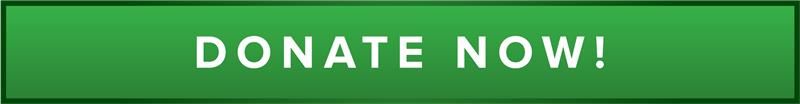 DirectImpact-GiveBack-Donate-Button