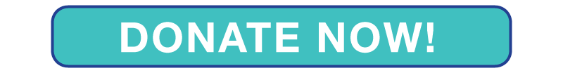Donate-Now-DT-Button-new.png