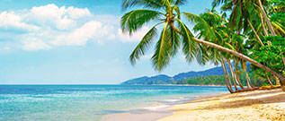 Air Canada Vacations Deals